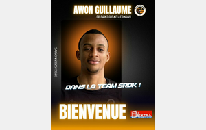BIENVENUE AWON GUILLAUME