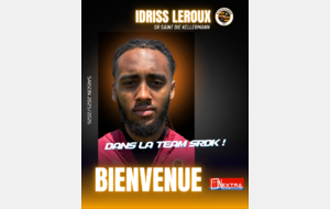 BIENVENUE IDRISS LEROUX