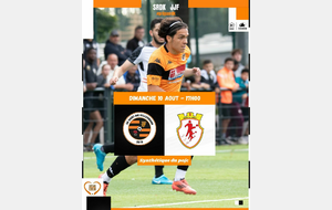 MATCH DE PREPARATION : SRDK - JARVILLE JF