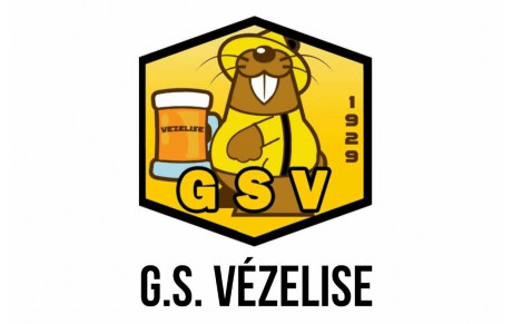 GS VEZELISE